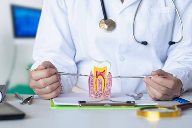 Best Pediatric Emergency Dentist in Glen Rock, NJ